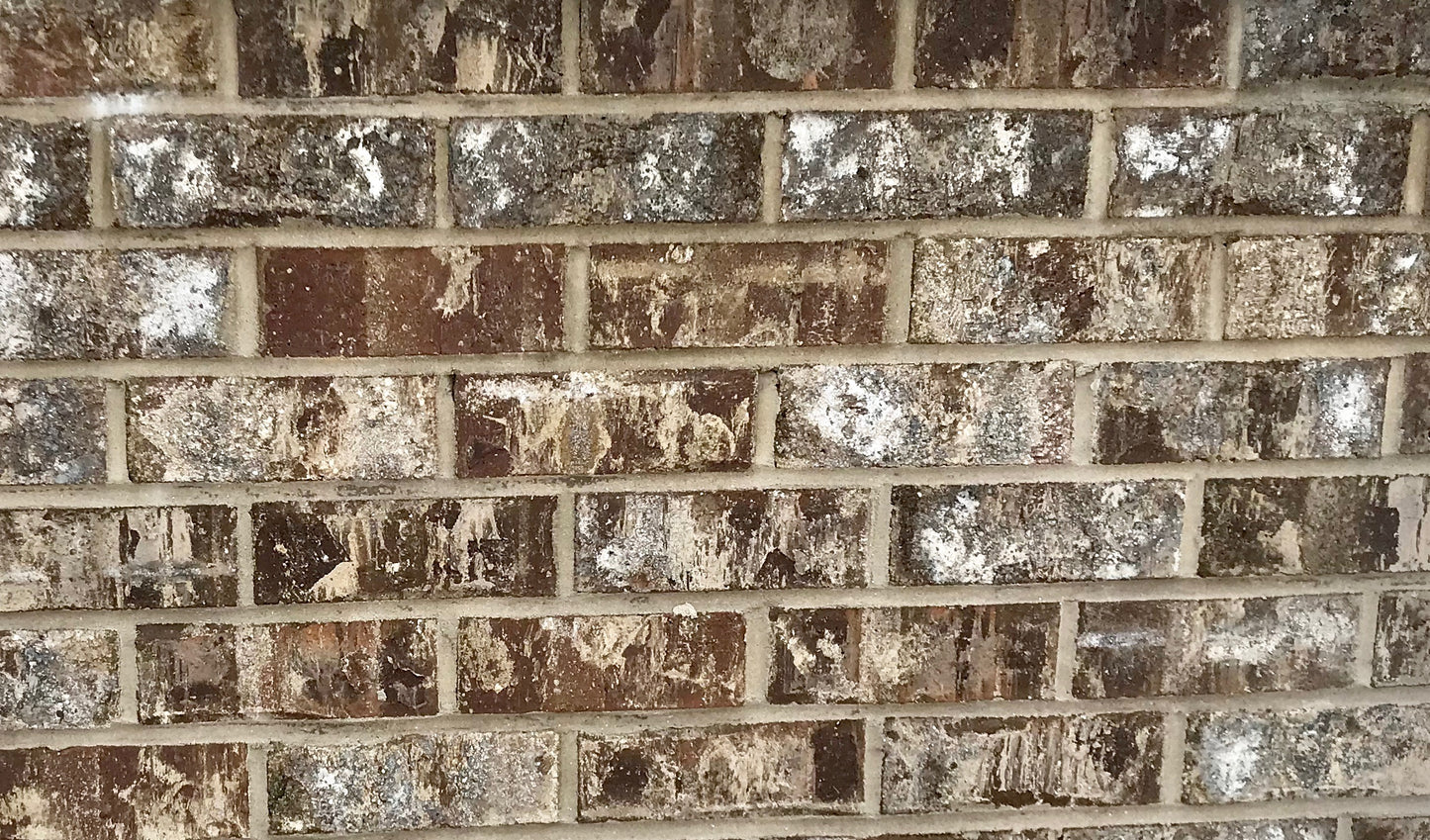 Shellmans Bluff Queen Brick - Cherokee Brick