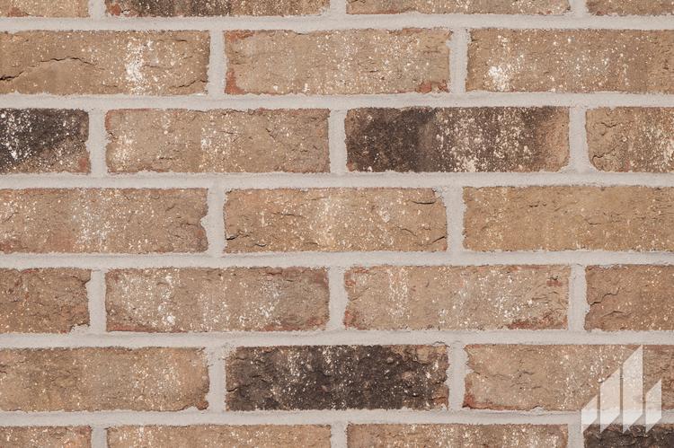 Colony Point Queen Brick - General Shale