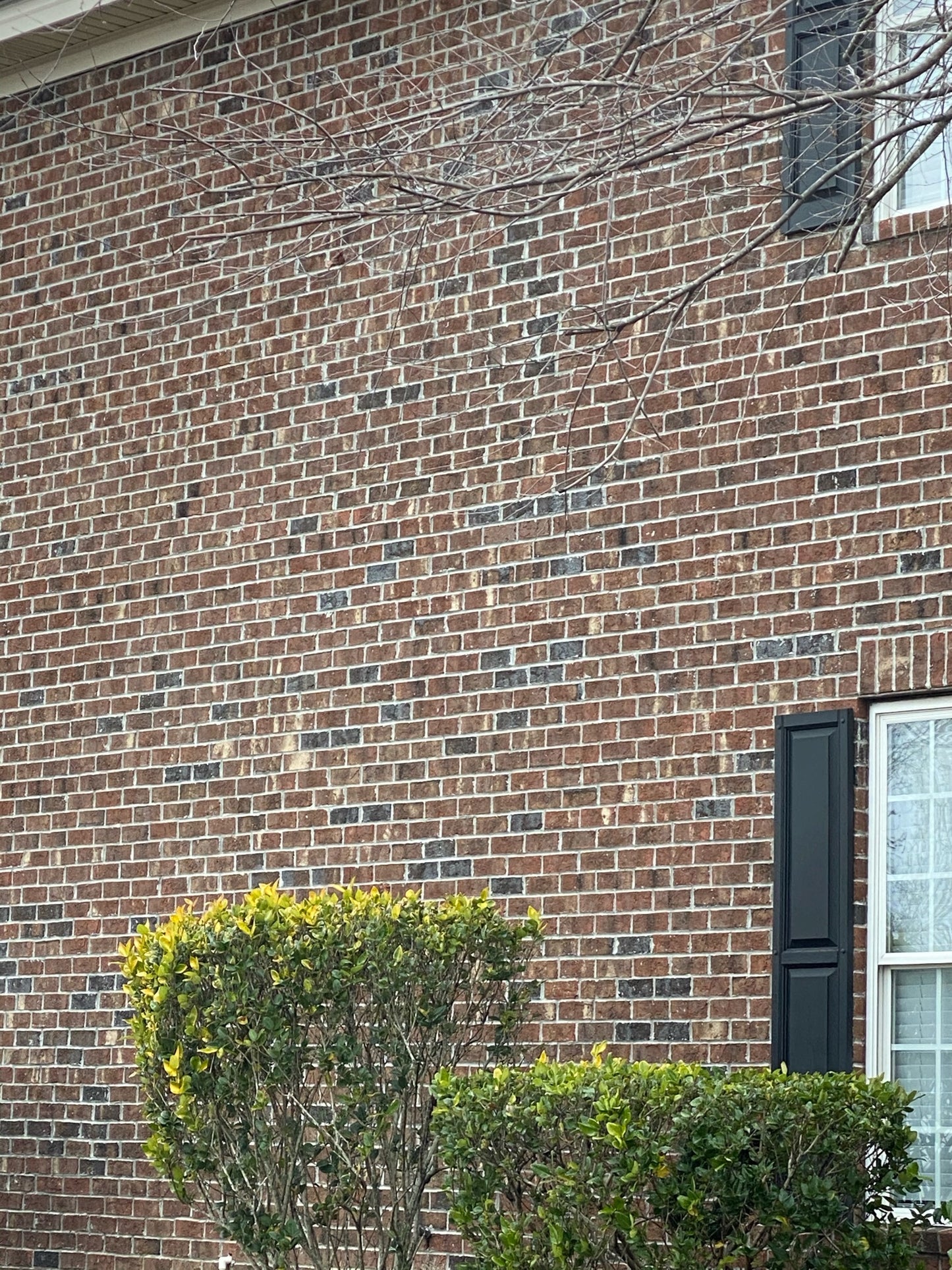 Northampton Queen Brick - Triangle Brick
